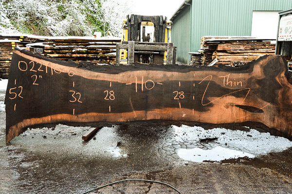 Oregon Black Walnut Slab 022118-06