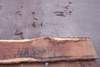 Oregon White Oak Slab 022718-05