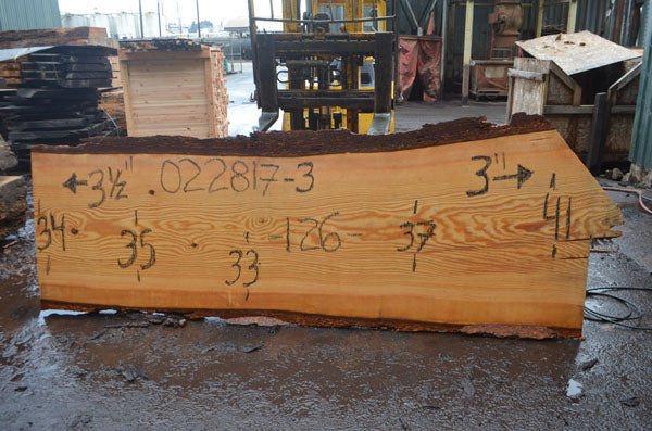 Oregon Fir Slab 022817-03