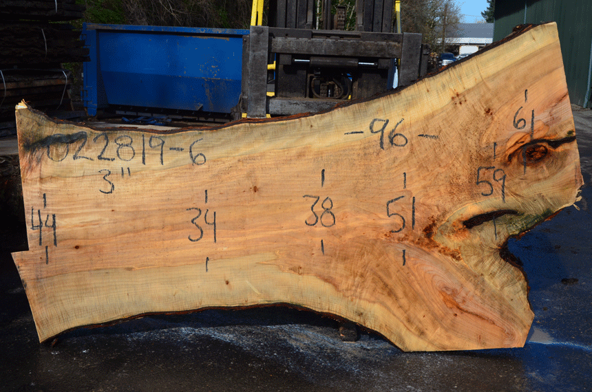 022819-06 Big Leaf Maple Slab