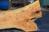 022819-06 Big Leaf Maple Slab