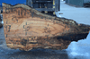 030119-04 Big Leaf Maple Slab