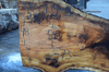 030119-05 Big Leaf Maple Slab