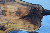 030119-05 Big Leaf Maple Slab