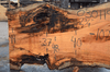 030119-09 Big Leaf Maple Slab