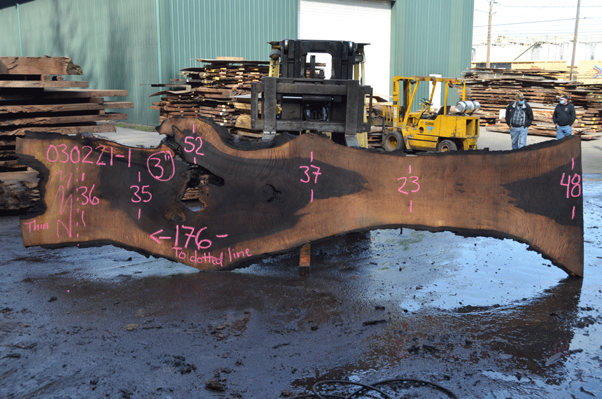 Oregon Black Walnut Slab 030221-01