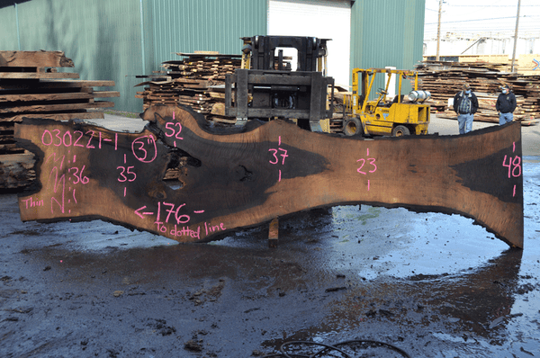 Oregon Black Walnut Slab 030221-01