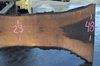 Oregon Black Walnut Slab 030221-01