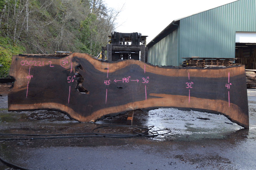 Oregon Black Walnut Slab 030221-02