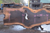 Oregon Black Walnut Slab 030221-02