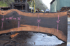 Oregon Black Walnut Slab 030221-02