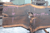 Oregon Black Walnut Slab 030221-04