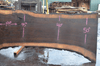 Oregon Black Walnut Slab 030221-04