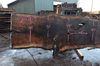 Oregon Black Walnut Slab 030221-05