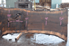 Oregon Black Walnut Slab 030221-05
