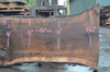 Oregon Black Walnut Slab 030321-05