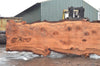 Redwood Slab 030422-10