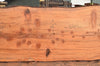 Redwood Slab 030422-02