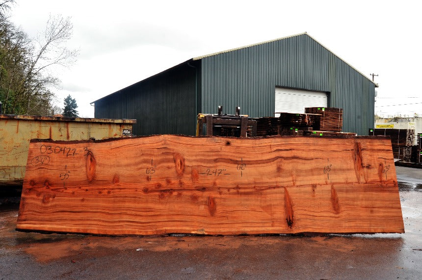 Redwood Slab 030422-03