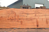 Redwood Slab 030422-03