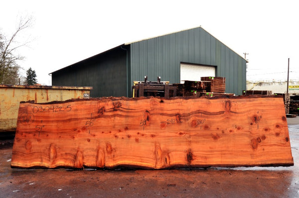 Redwood Slab 030422-05