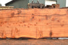 Redwood Slab 030422-05