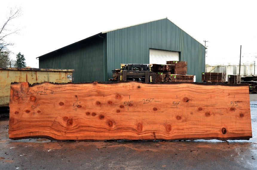 Redwood Slab 030422-06
