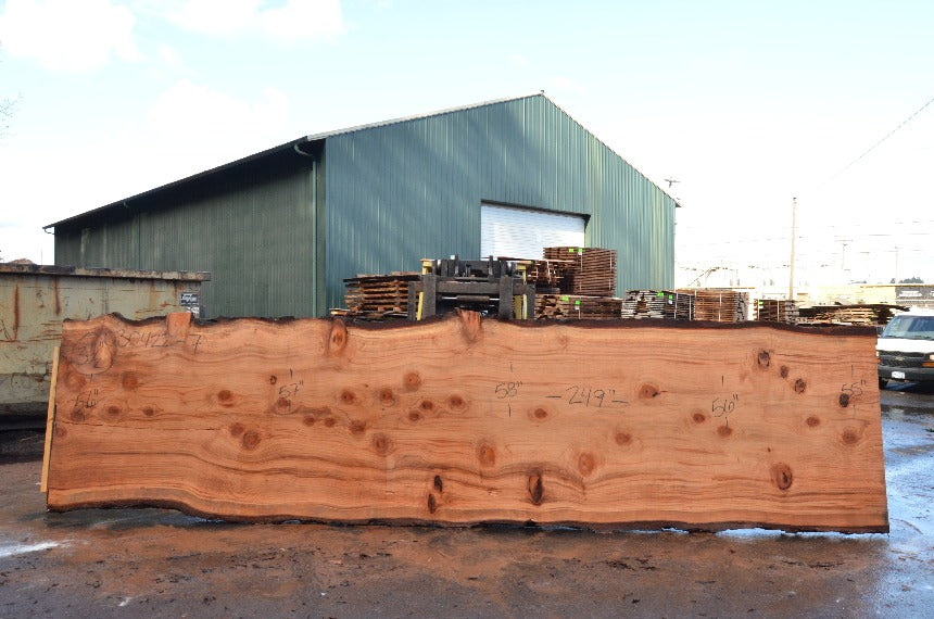 Redwood Slab 030422-07