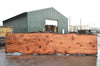 Redwood Slab 030422-09