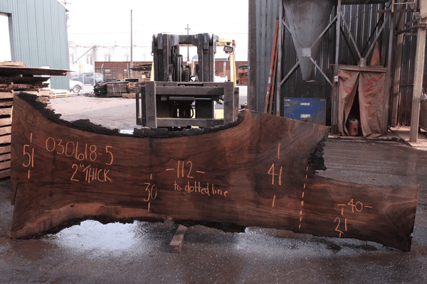 Oregon Black Walnut 030618-05