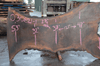 Oregon Black Walnut Slab 030821-01