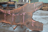 Oregon Black Walnut Slab 030821-01