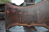 Oregon Black Walnut Slab 030821-02
