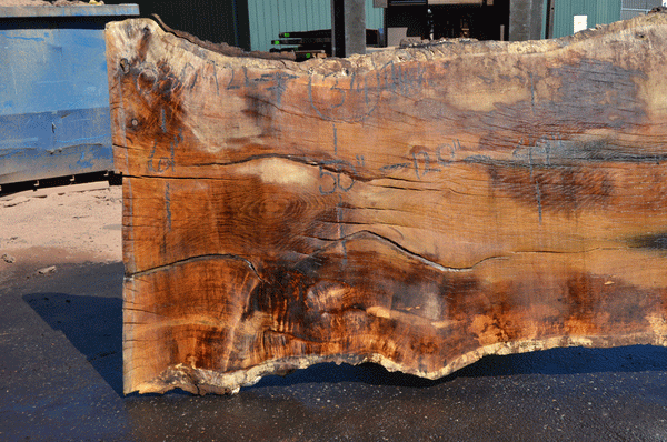 Chestnut Oak Wood Slab #B11-5JK-GR7Q