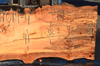 031019-04 Big Leaf Maple