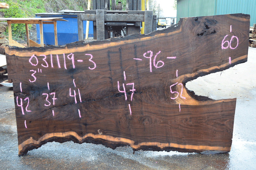 031119-03 Oregon Black Walnut Slab