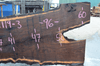 031119-03 Oregon Black Walnut Slab