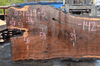 031219-05 Oregon Black Walnut Slab