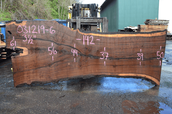 031219-06 Oregon Black Walnut Slab