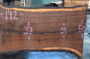 031219-06 Oregon Black Walnut Slab