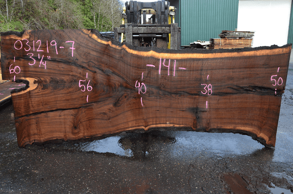 031219-07 Oregon Black Walnut Slab