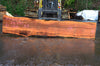 Oregon Fir Slab 031314-02