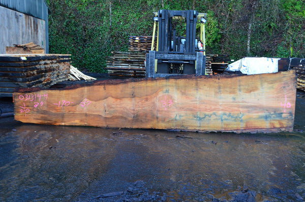 Oregon Fir Slab 031314-04