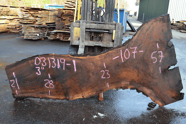 031319-01 Oregon Black Walnut Slab