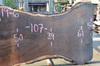 031319-06 Oregon Black Walnut Slab