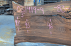 031419-04 Elm Slab