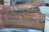 031419-04 Elm Slab