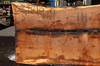 031719-04 Oregon White Oak