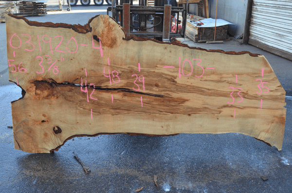 Big Leaf Maple Slab 031920-04