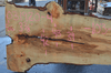 Big Leaf Maple Slab 031920-04